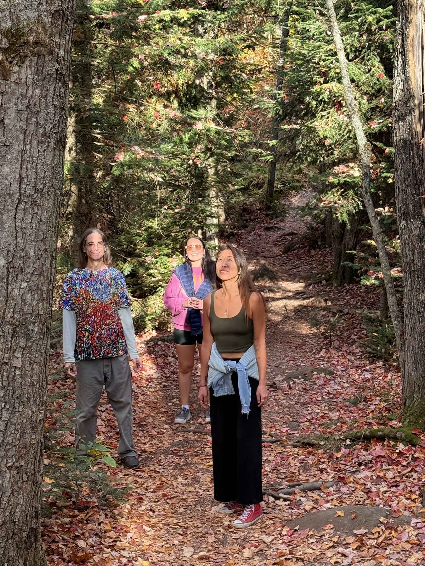 Petit groupe en marche d’intégration dans un sentier forestier en automne.